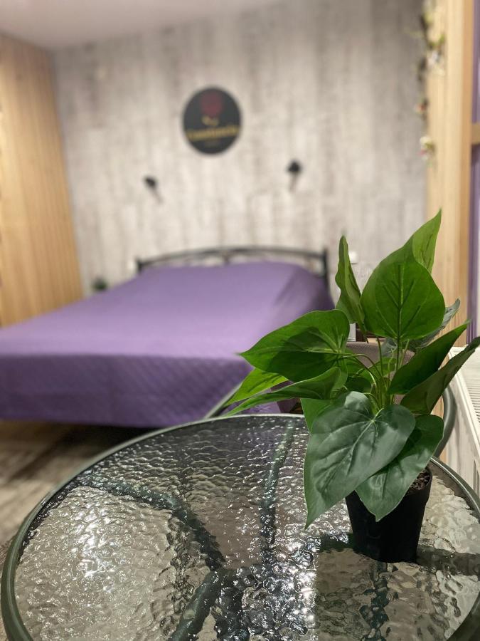 Hotel Constancia Kamenec Podolský Exteriér fotografie